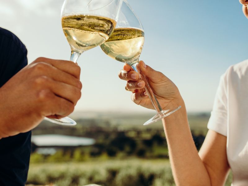 quel vin avec les rillettes d'oie