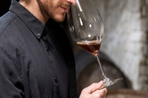 découvrir les cépages italiens