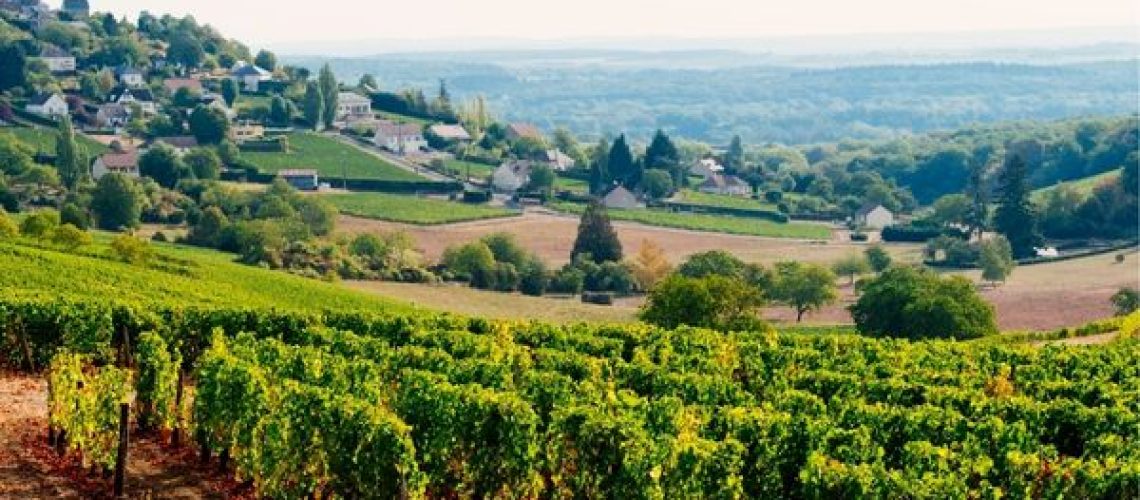 séjour oenologique loire