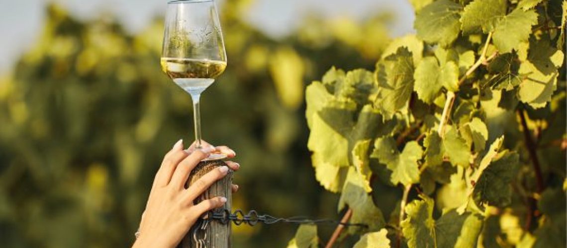 vin blanc du Sud Ouest le UBY N°3